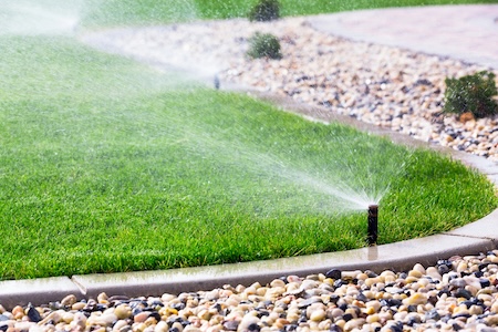 How Often Should You Water Your Lawn During a Sacramento Summer?