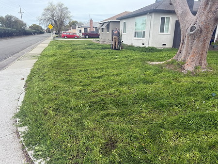 How Sacramento’s Rainy Season Impacts Your Lawn and What to Do About It