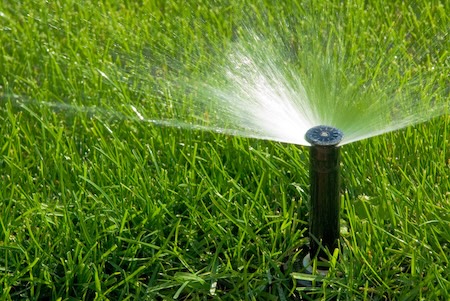 How to Keep Your Lawn Green During Sacramento’s Hot, Dry Summers