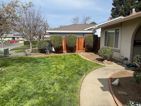 Preparing Your Sacramento Lawn for Spring in January