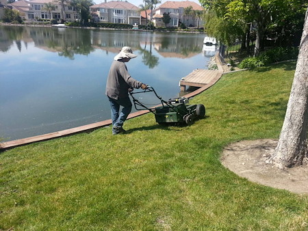 Why Proper Mowing Height Matters During Summer Heat