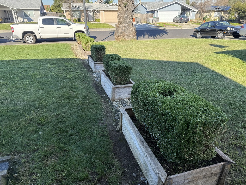 West Sacramento Shrub Trimming & Landscape Bed Cleanup by Orchid Lawn Care Experts